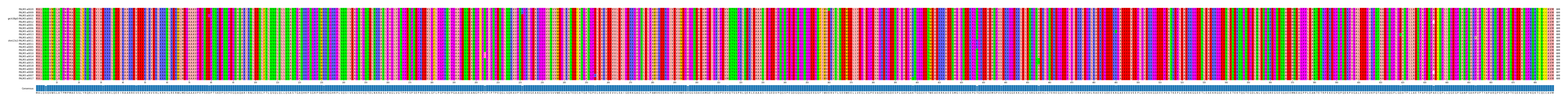 Multiple Alignments (by translate haplotype similarity)