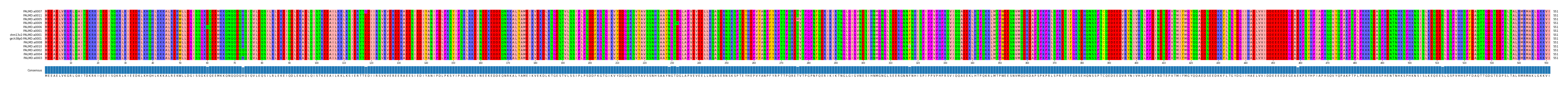 Multiple Alignments (by translate haplotype similarity)