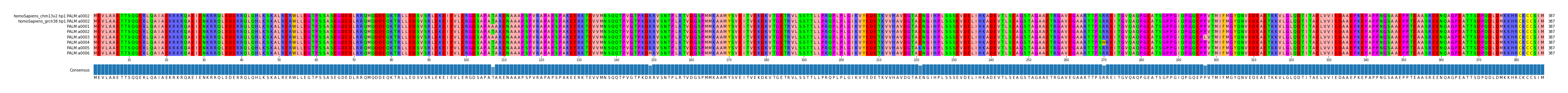 Multiple Alignments (by translate haplotype frequency)