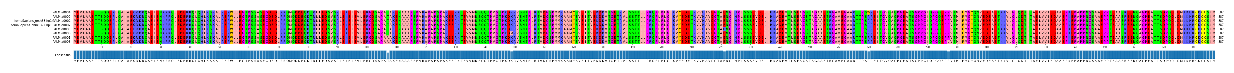Multiple Alignments (by translate haplotype similarity)