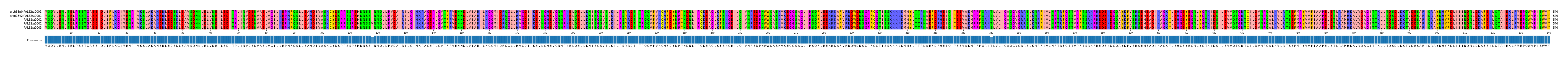 Multiple Alignments (by translate haplotype frequency)