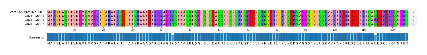 Multiple Alignments (by translate haplotype frequency)
