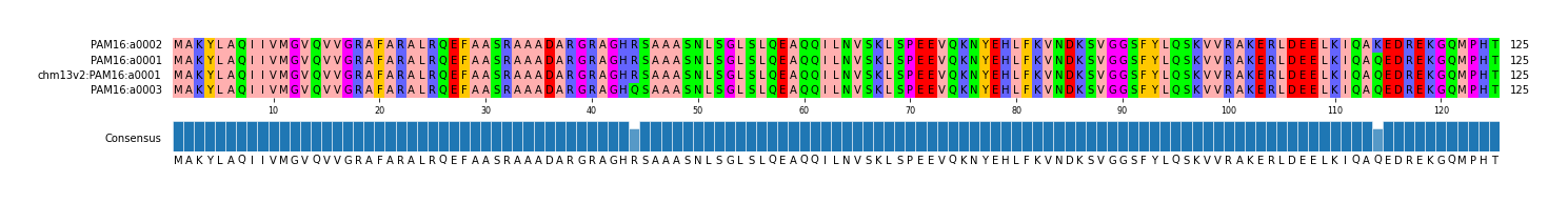 Multiple Alignments (by translate haplotype similarity)