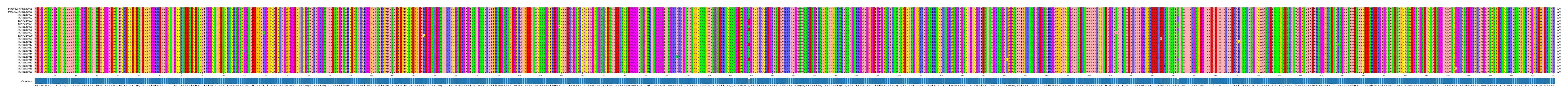 Multiple Alignments (by translate haplotype frequency)