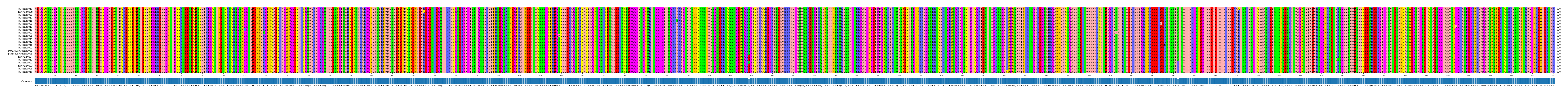Multiple Alignments (by translate haplotype similarity)