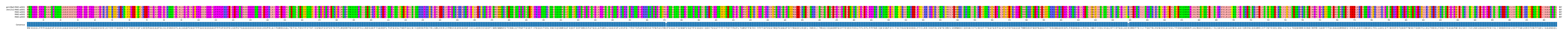 Multiple Alignments (by translate haplotype frequency)