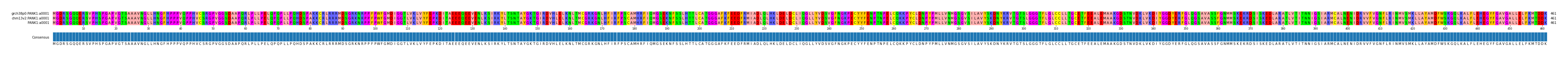 Multiple Alignments (by translate haplotype frequency)