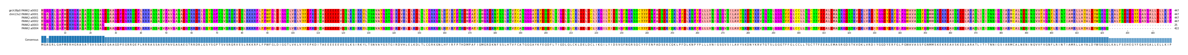 Multiple Alignments (by translate haplotype frequency)