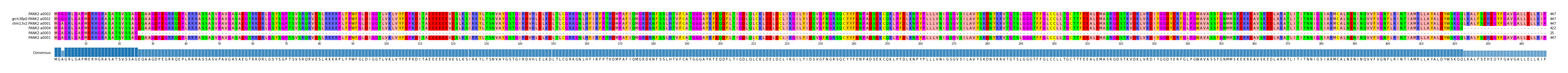 Multiple Alignments (by translate haplotype similarity)