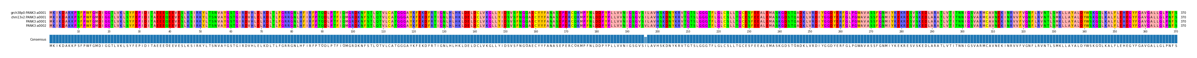 Multiple Alignments (by translate haplotype similarity)
