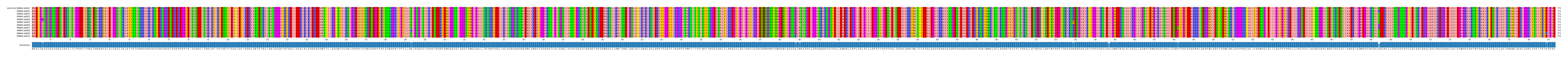 Multiple Alignments (by translate haplotype frequency)