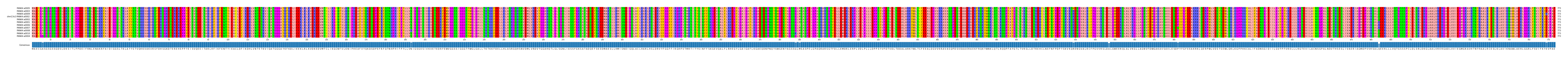 Multiple Alignments (by translate haplotype similarity)