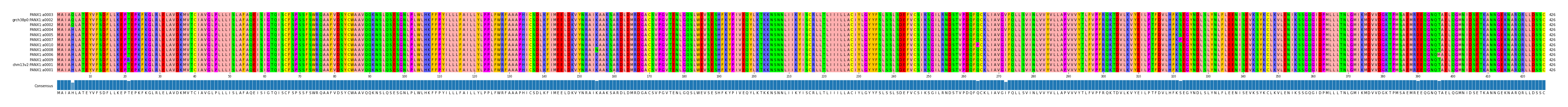 Multiple Alignments (by translate haplotype similarity)