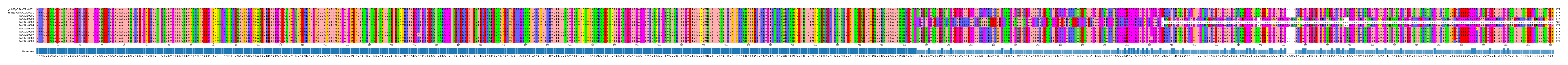 Multiple Alignments (by translate haplotype frequency)