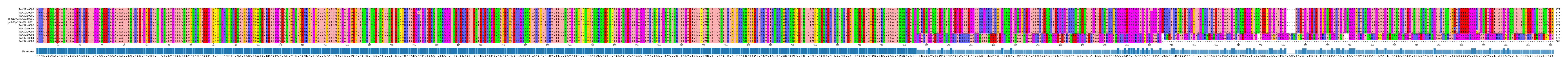 Multiple Alignments (by translate haplotype similarity)