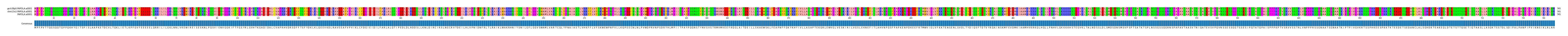 Multiple Alignments (by translate haplotype similarity)