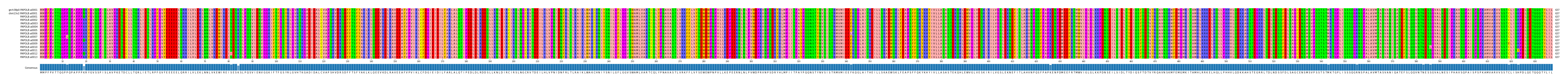 Multiple Alignments (by translate haplotype frequency)
