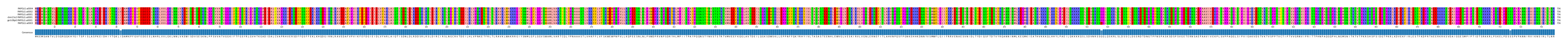 Multiple Alignments (by translate haplotype similarity)
