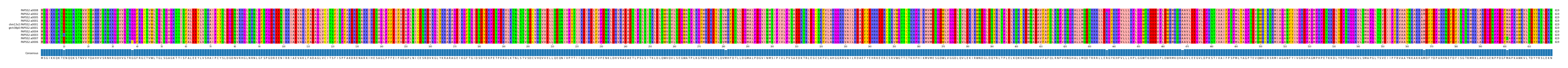 Multiple Alignments (by translate haplotype similarity)