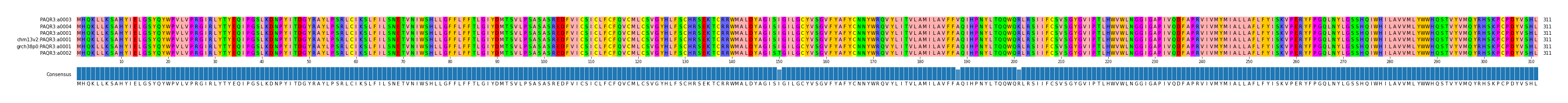 Multiple Alignments (by translate haplotype similarity)