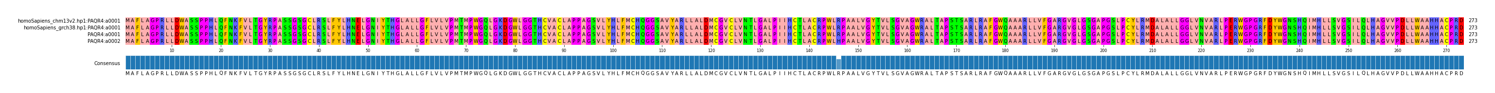 Multiple Alignments (by translate haplotype similarity)