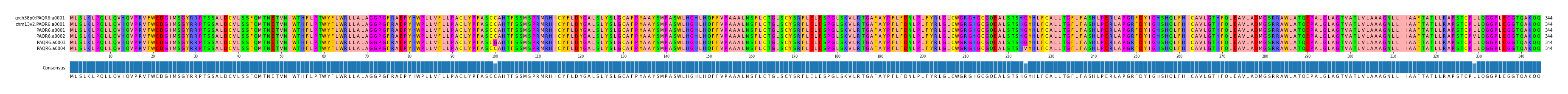 Multiple Alignments (by translate haplotype frequency)