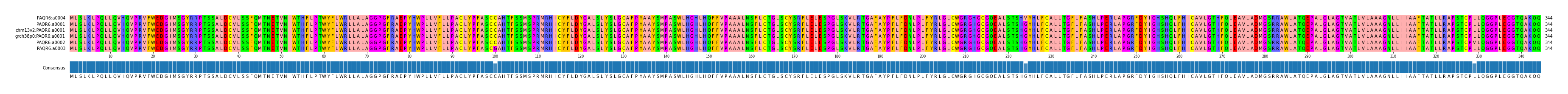 Multiple Alignments (by translate haplotype similarity)