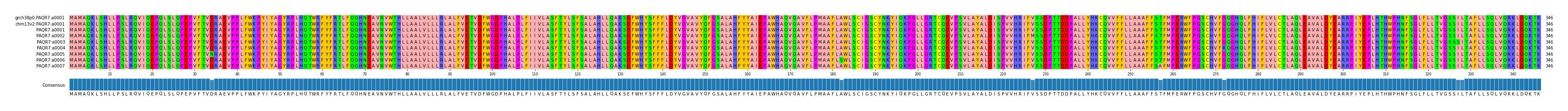 Multiple Alignments (by translate haplotype frequency)