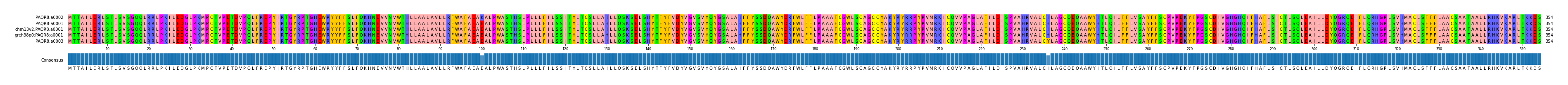Multiple Alignments (by translate haplotype similarity)