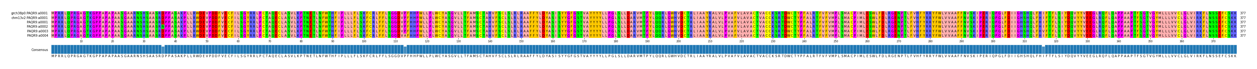 Multiple Alignments (by translate haplotype frequency)