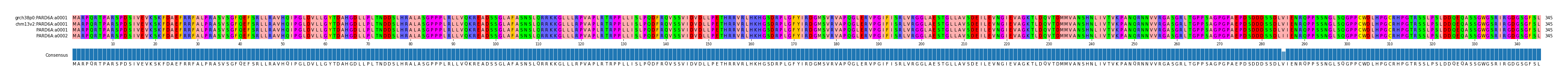 Multiple Alignments (by translate haplotype similarity)