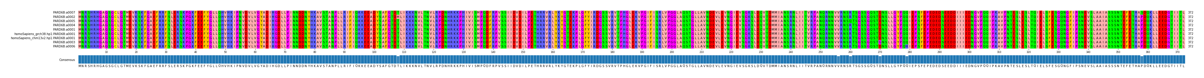 Multiple Alignments (by translate haplotype similarity)