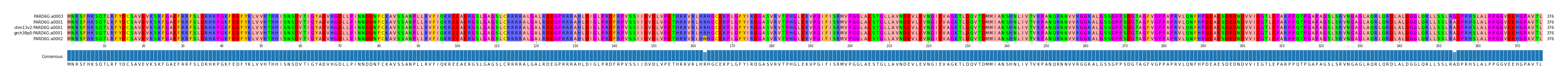 Multiple Alignments (by translate haplotype similarity)