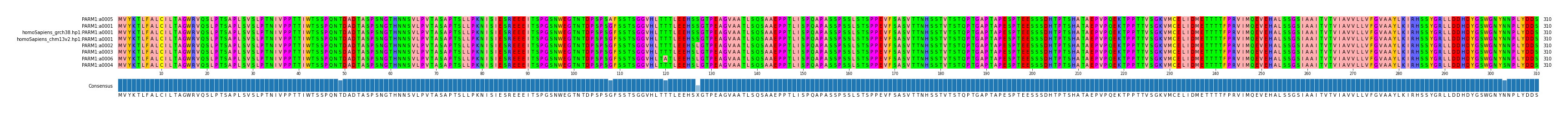 Multiple Alignments (by translate haplotype similarity)