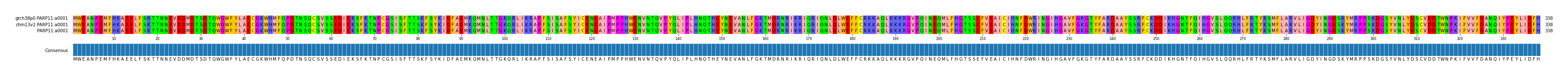 Multiple Alignments (by translate haplotype similarity)