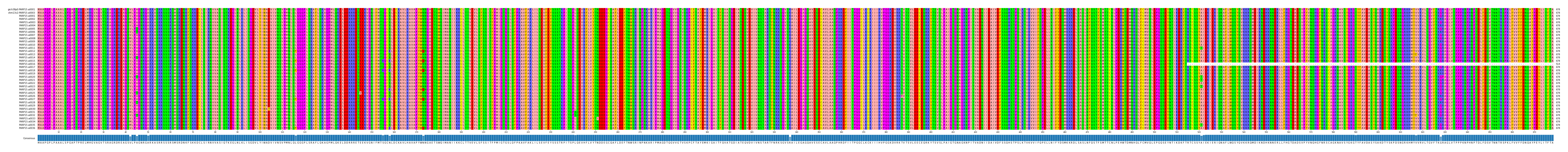 Multiple Alignments (by translate haplotype frequency)
