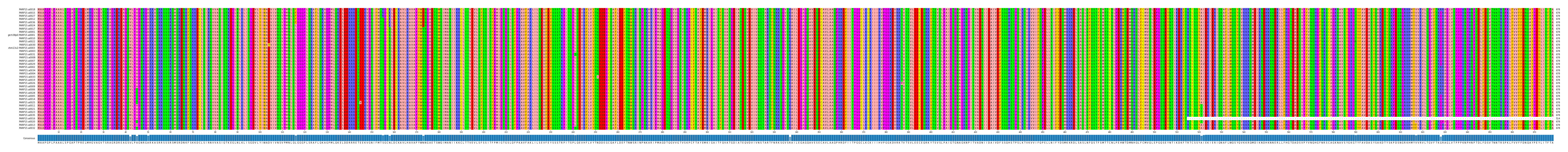 Multiple Alignments (by translate haplotype similarity)