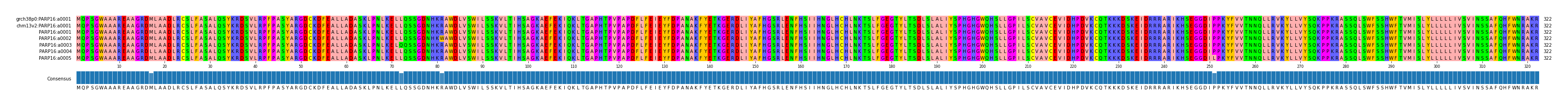 Multiple Alignments (by translate haplotype frequency)