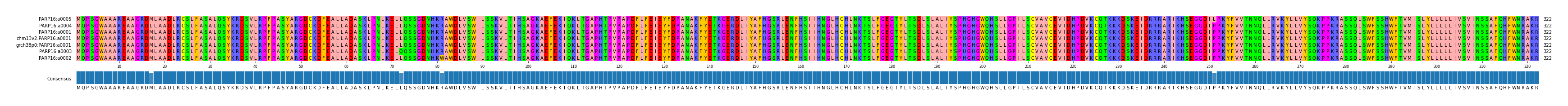Multiple Alignments (by translate haplotype similarity)