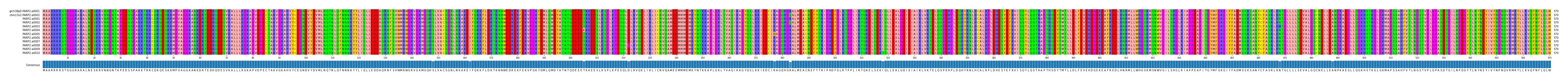 Multiple Alignments (by translate haplotype frequency)