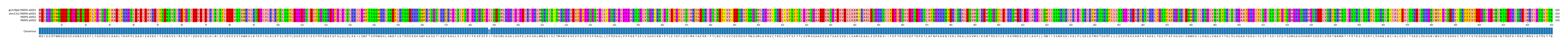 Multiple Alignments (by translate haplotype similarity)