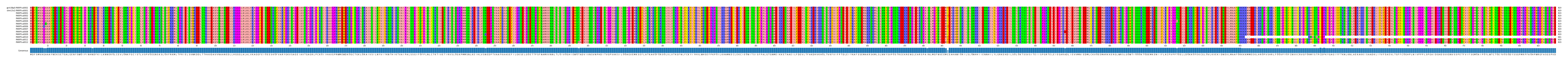 Multiple Alignments (by translate haplotype frequency)