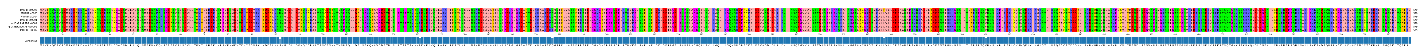 Multiple Alignments (by translate haplotype similarity)