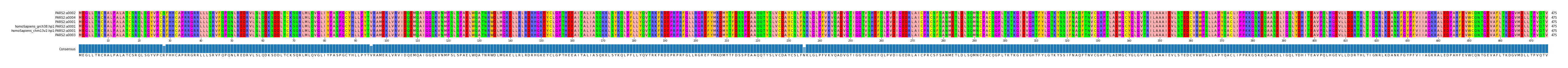 Multiple Alignments (by translate haplotype similarity)