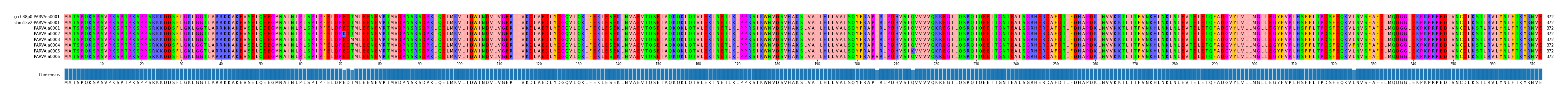 Multiple Alignments (by translate haplotype frequency)