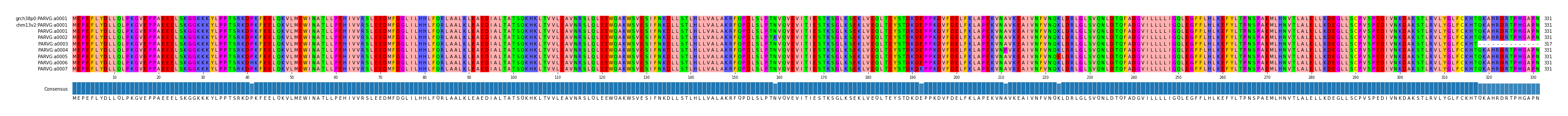 Multiple Alignments (by translate haplotype frequency)