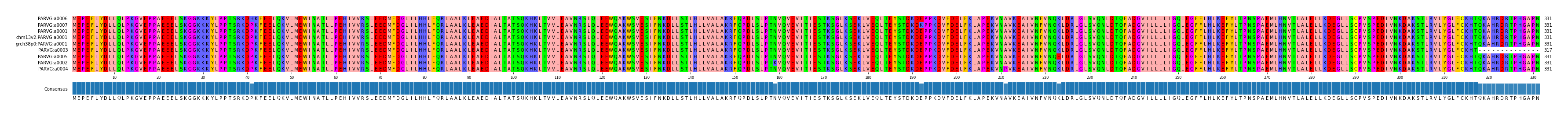 Multiple Alignments (by translate haplotype similarity)