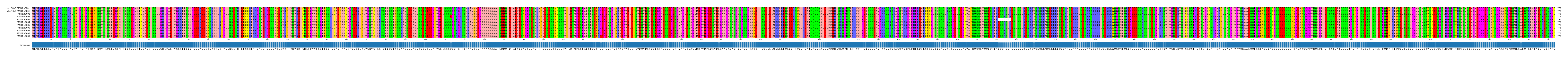 Multiple Alignments (by translate haplotype frequency)