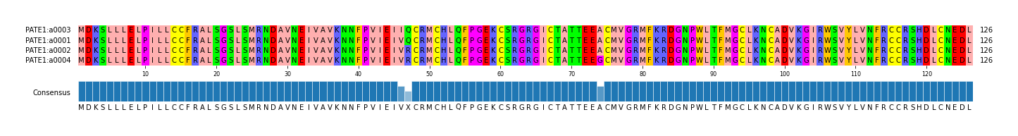 Multiple Alignments (by translate haplotype similarity)