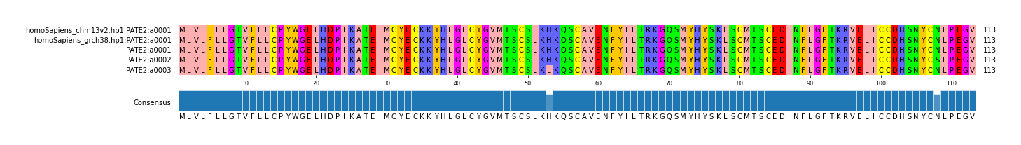 Multiple Alignments (by translate haplotype frequency)